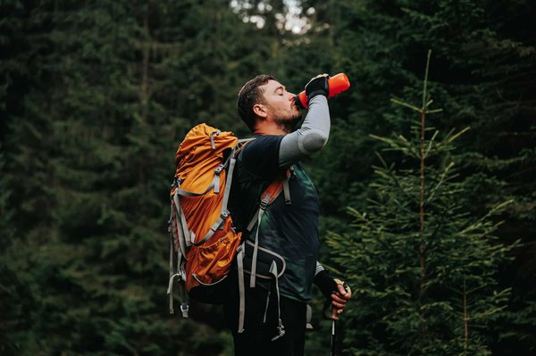 Voyage au cœur de la nature : les destinations de premier choix